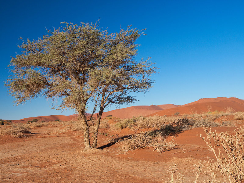 Sossusvlei